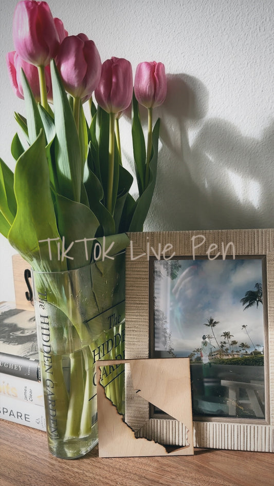 TikTok Live Pen